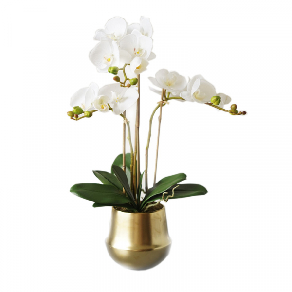 Предмет декора White Orchid-0