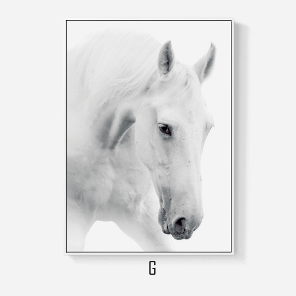 Картина в раме Horses White-11411