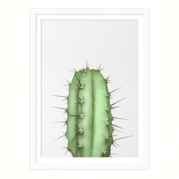Картина в раме Cactus 70*100  см