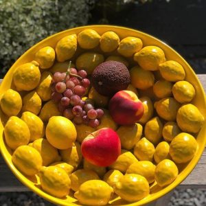 блюдо керамическое с лимонами