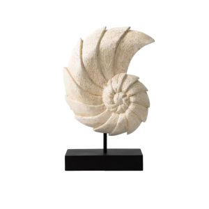 ракушка декор